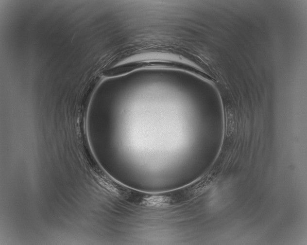 X0000056370269200509091656