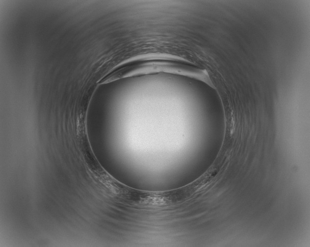 X0000056370276200509091657