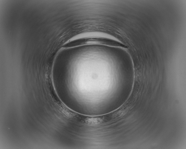 X0000056370277200509091657