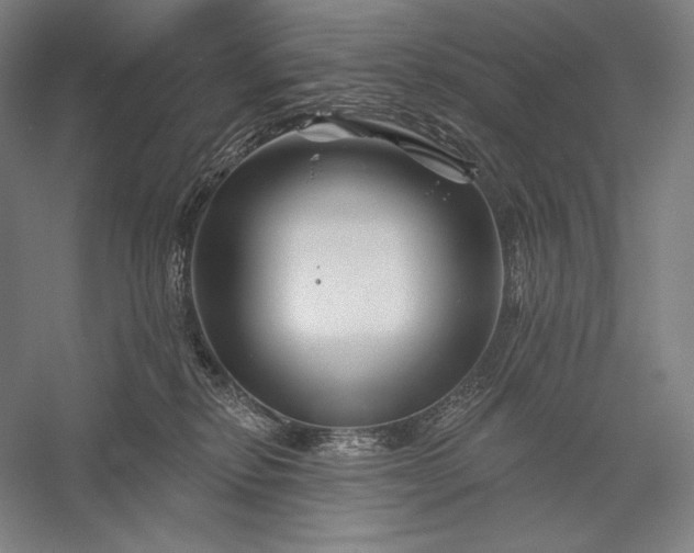 X0000056370278200509091657