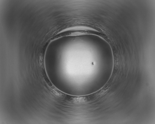 X0000056370281200509091657