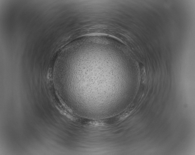 X0000056370284200509091657