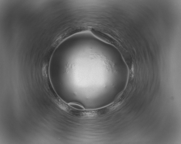 X0000056370286200509091657