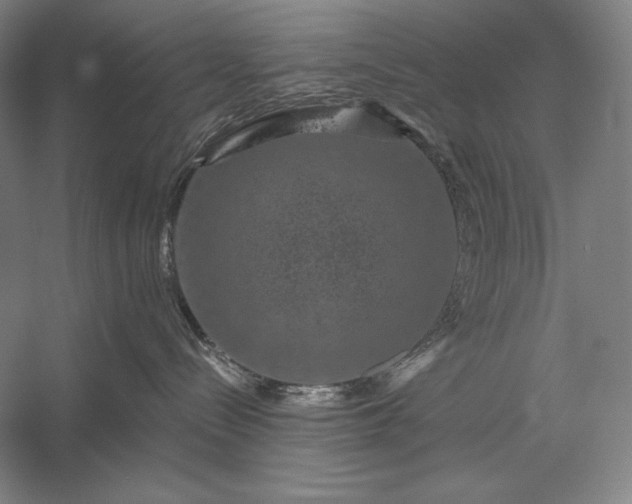 X0000056370288200509091657