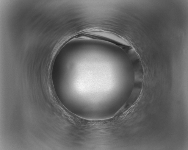 X0000056370289200509091656