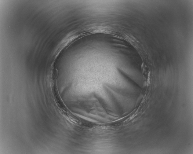 X0000056370291200509091656