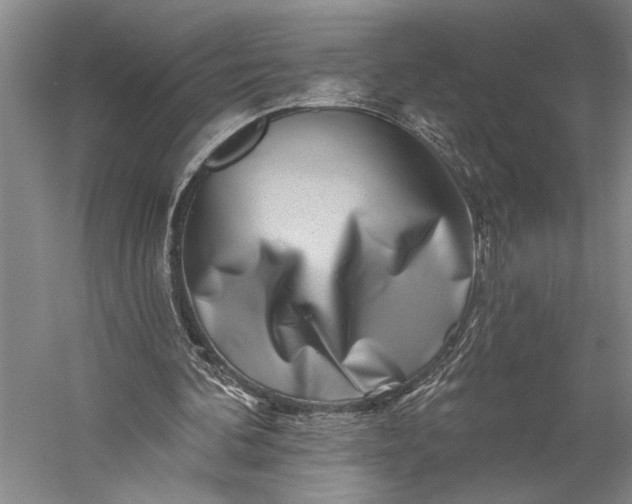 X0000056370292200509091656