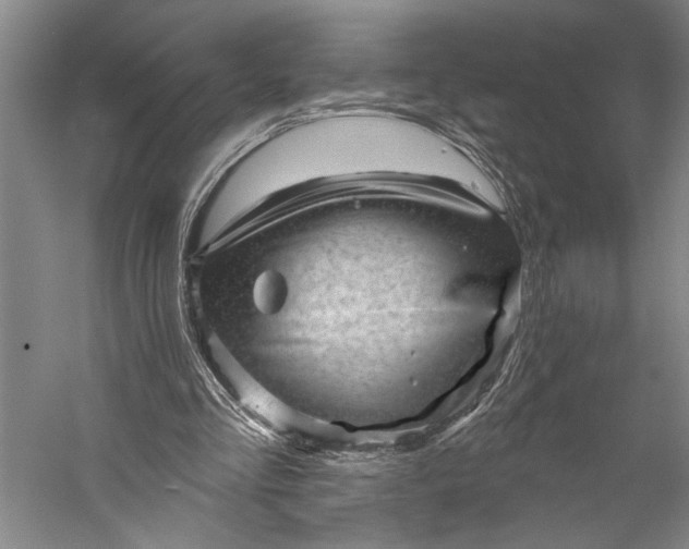 X0000056370293200509091656