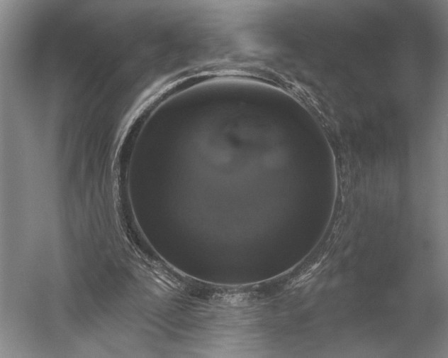 X0000056370295200509091656