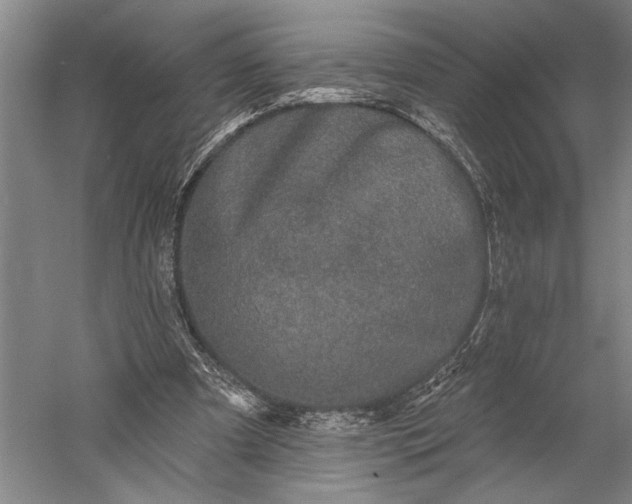 X0000056370297200509091656