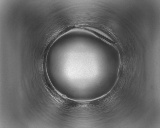 X0000056370299200509091656