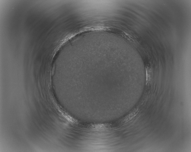 X0000056370301200509091656