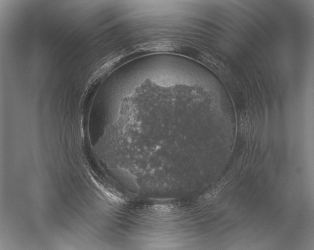 X0000056370302200509091656