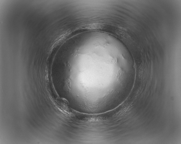 X0000056370303200509091656