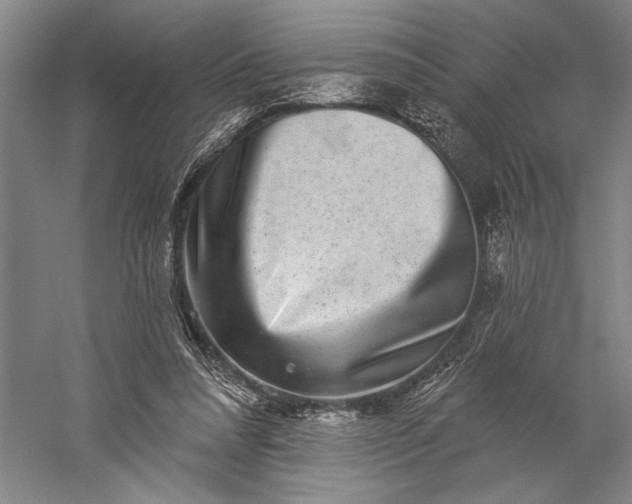 X0000056370304200509091656