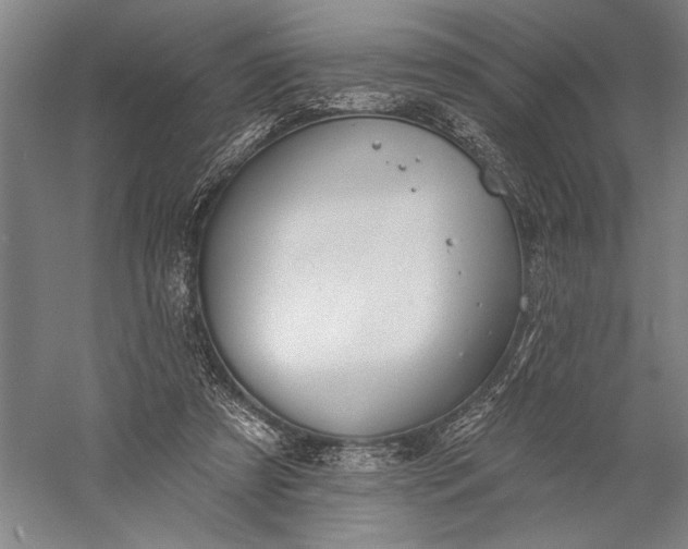 X0000056370305200509091656