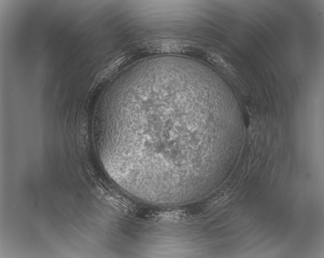 X0000056370306200509091656