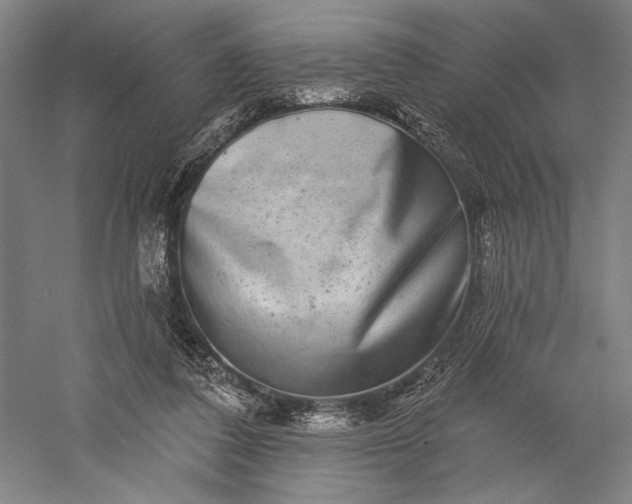 X0000056370308200509091656