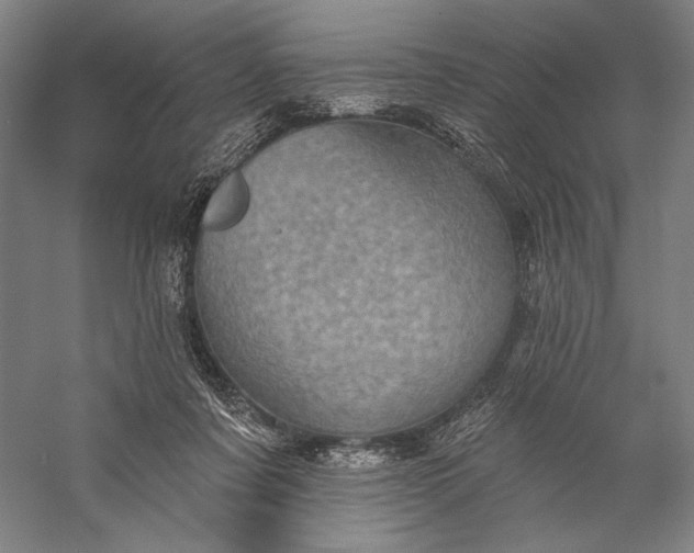 X0000056370311200509091656