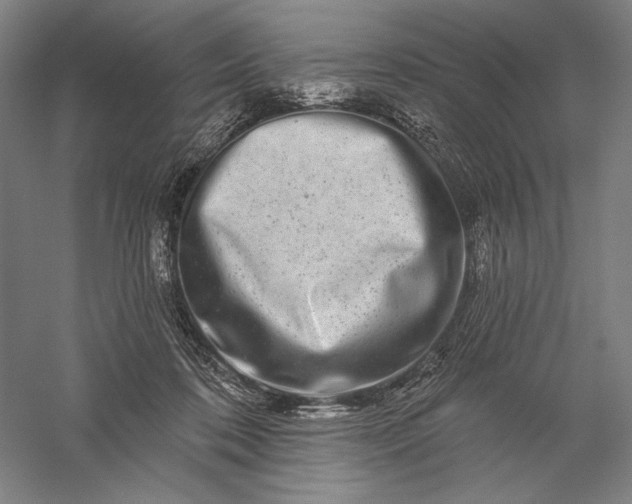 X0000056370316200509091656