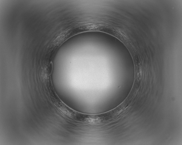 X0000056370317200509091656