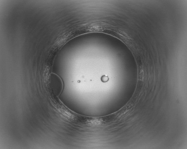 X0000056370318200509091655