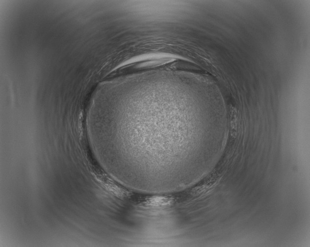 X0000056370319200509091655