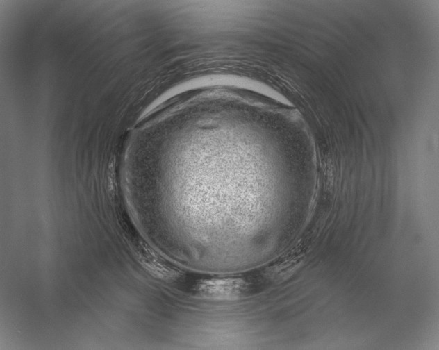 X0000056370323200509091655