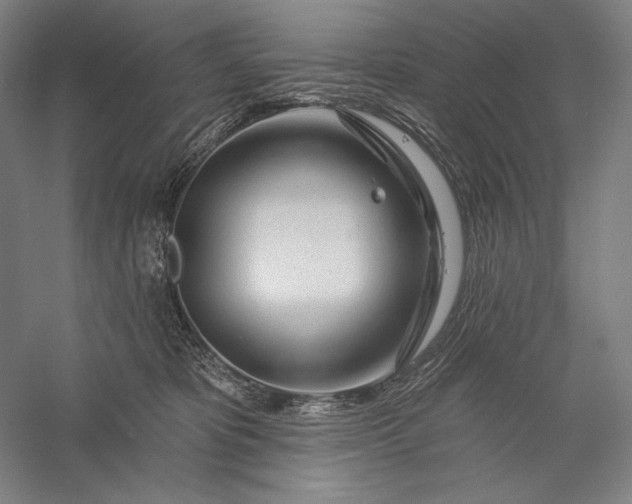 X0000056370325200509091655