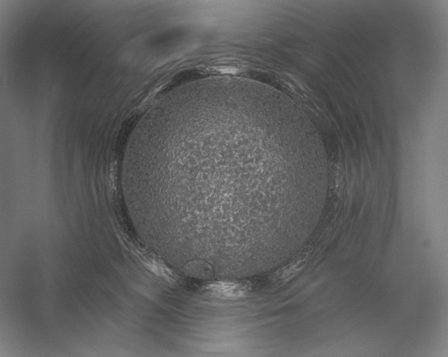 X0000056370326200509091655