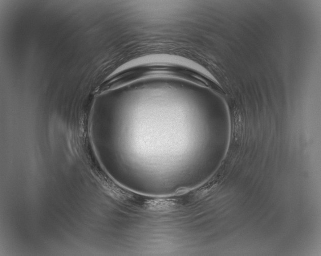 X0000056370331200509091655