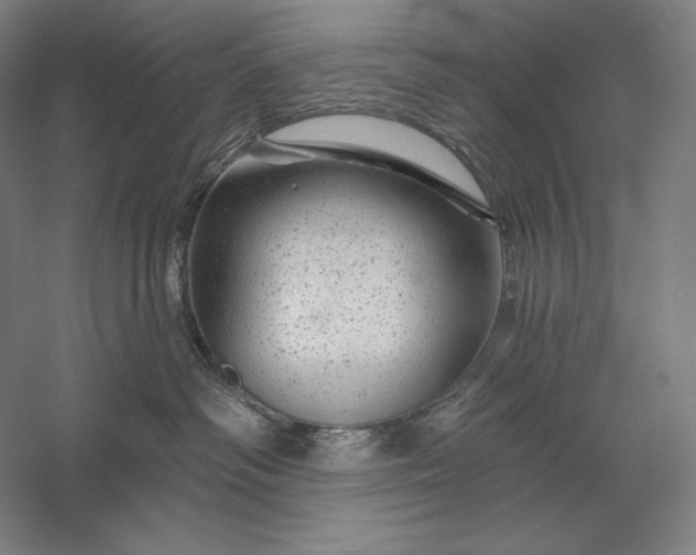 X0000056370334200509091655