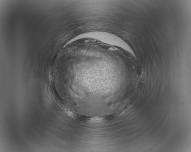 X0000056370335200509091655