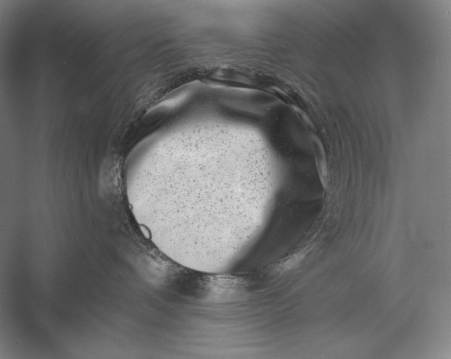 X0000056370336200509091655