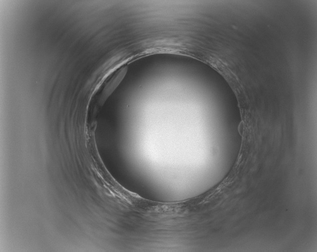 X0000056370338200509091654