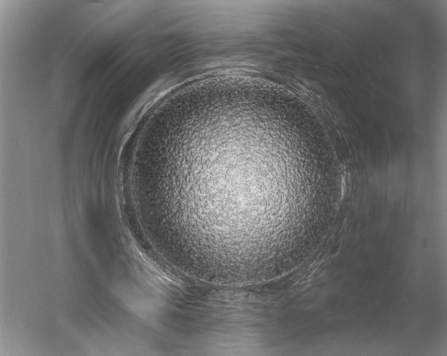 X0000056370339200509091654