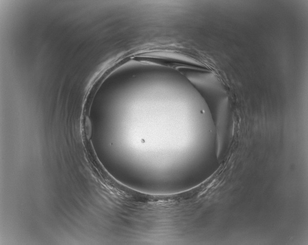 X0000056370340200509091654