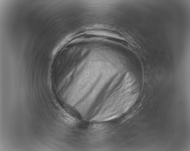 X0000056370341200509091654