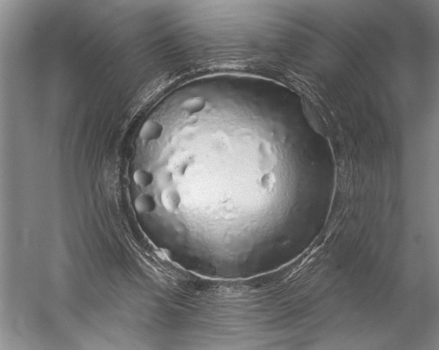 X0000056370346200509091655