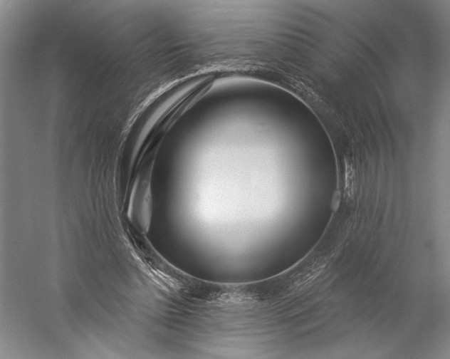 X0000056370348200509091655