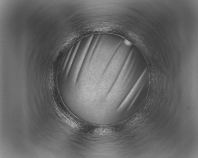 X0000056370354200509091655