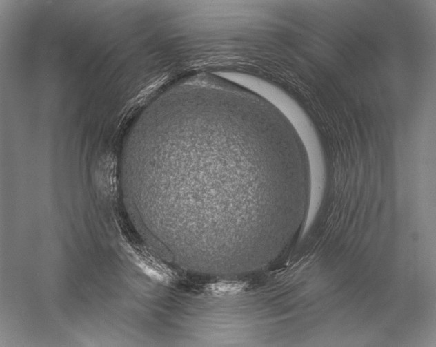 X0000056370356200509091655