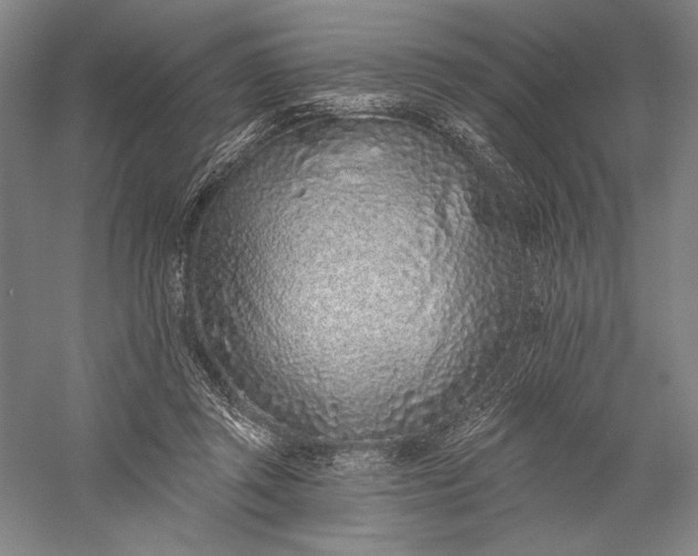 X0000056370357200509091655