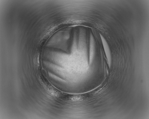 X0000056370358200509091655