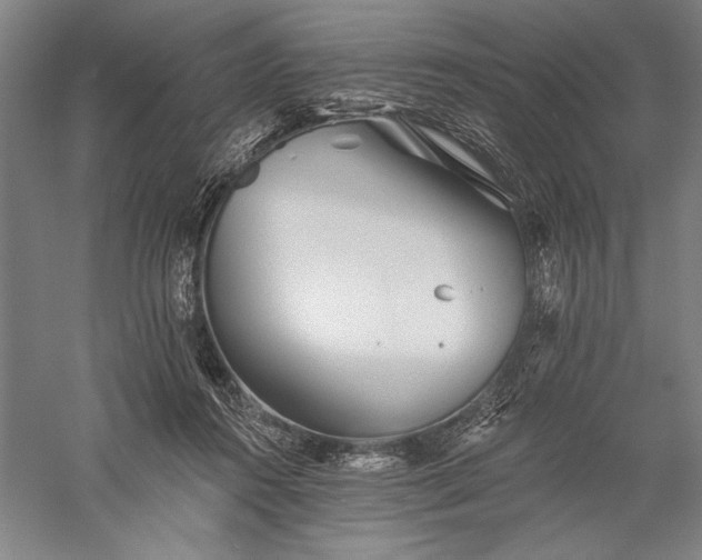 X0000056370360200509091655