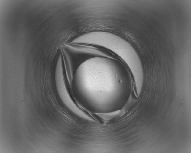 X0000056370362200509091655