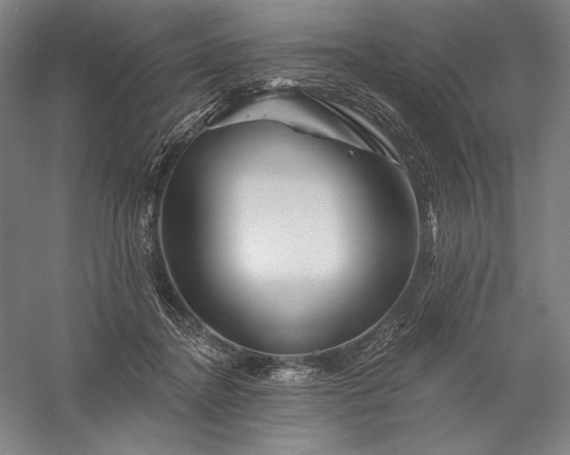 X0000056370364200509091655