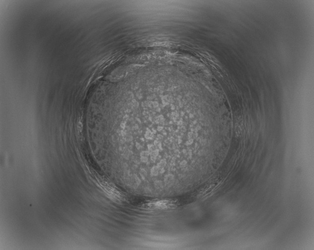 X0000056370365200509091655