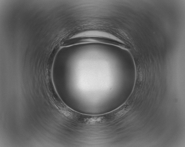 X0000056370366200509091655