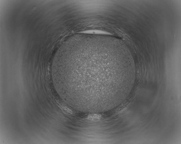 X0000056370369200509091655